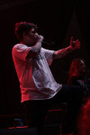 Gallery image 13