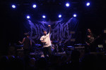 Gallery image 39
