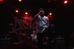 Gallery image 27