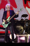 Gallery image 29