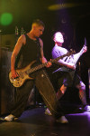 Gallery image 39