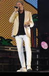 Gallery image 23