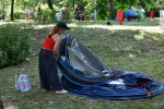 Gallery image 11