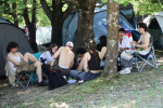 Gallery image 38