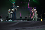 Gallery image 38