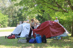 Gallery image 59