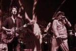 Gallery image 30