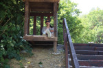 Gallery image 53