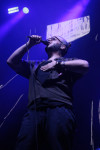 Gallery image 25