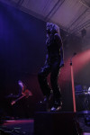 Gallery image 20