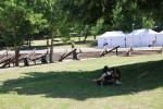 Gallery image 54