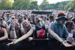 Gallery image 112