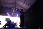 Gallery image 23