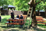 Gallery image 32