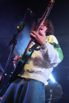 Gallery image 30