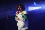 Gallery image 36