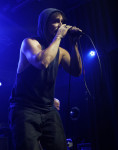 Gallery image 21
