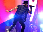 Gallery image 117