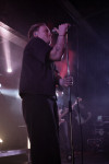 Gallery image 24