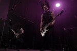 Gallery image 21