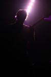Gallery image 32