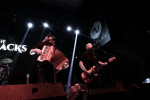 Gallery image 23