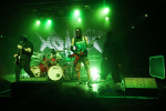 Gallery image 51