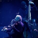 Gallery image 7