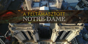 A feltámasztott Notre-Dame